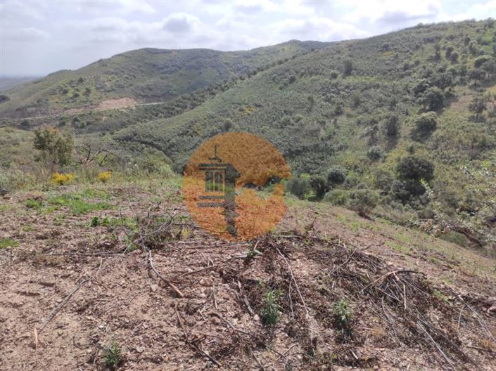 Image No.42-Plot for sale