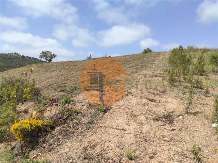 Image No.43-Plot for sale