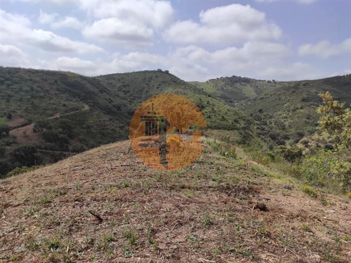 Image No.45-Plot for sale