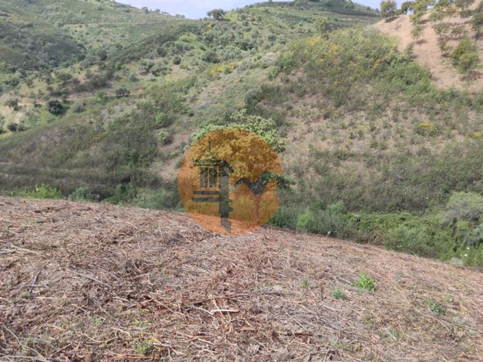 Image No.47-Plot for sale