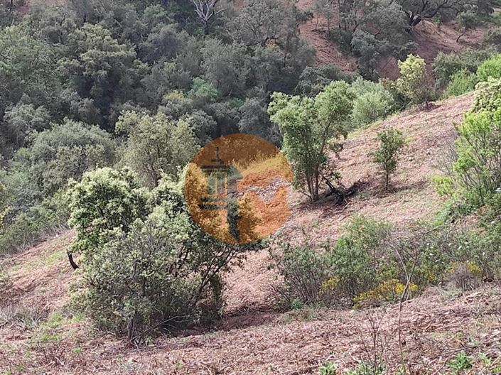 Image No.51-Plot for sale