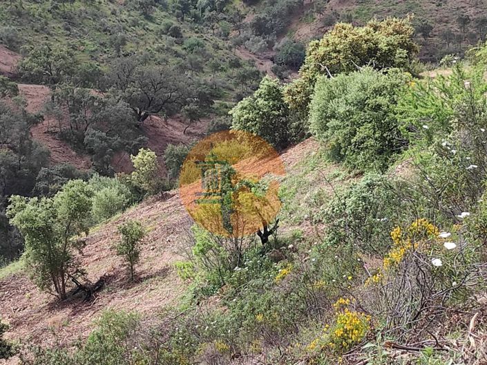 Image No.52-Plot for sale