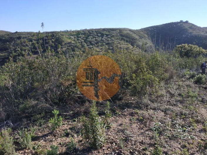 Image No.58-Plot for sale