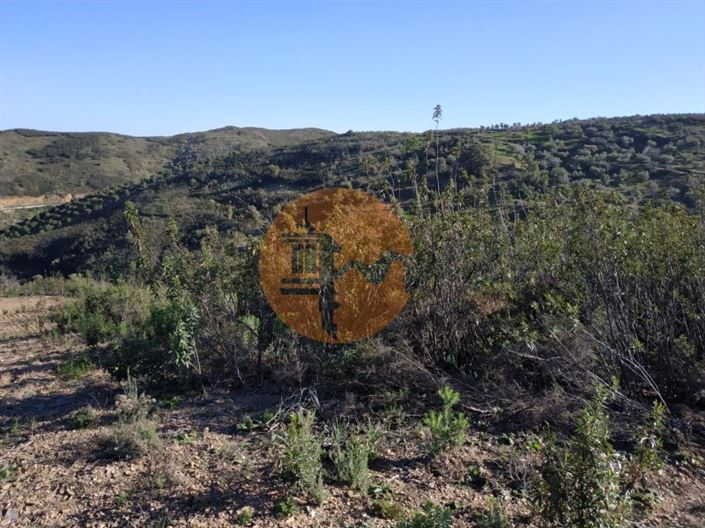 Image No.59-Plot for sale