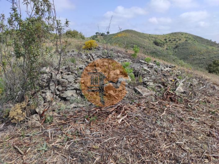 Image No.8-Plot for sale