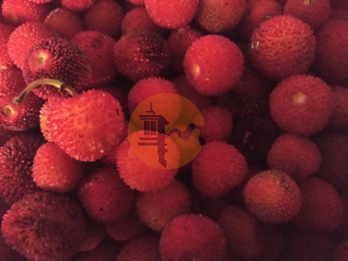 Image No.11-Plot for sale