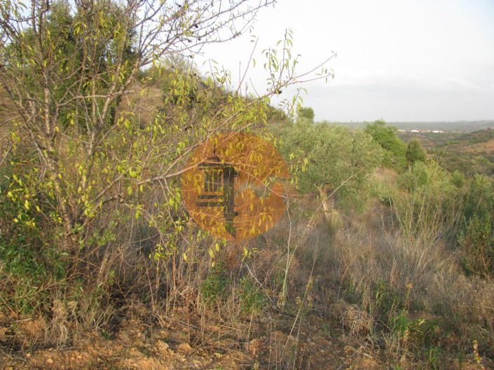 Image No.26-Plot for sale