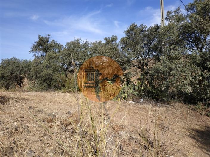 Image No.31-Plot for sale