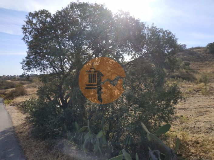 Image No.45-Plot for sale