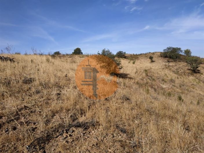 Image No.57-Plot for sale