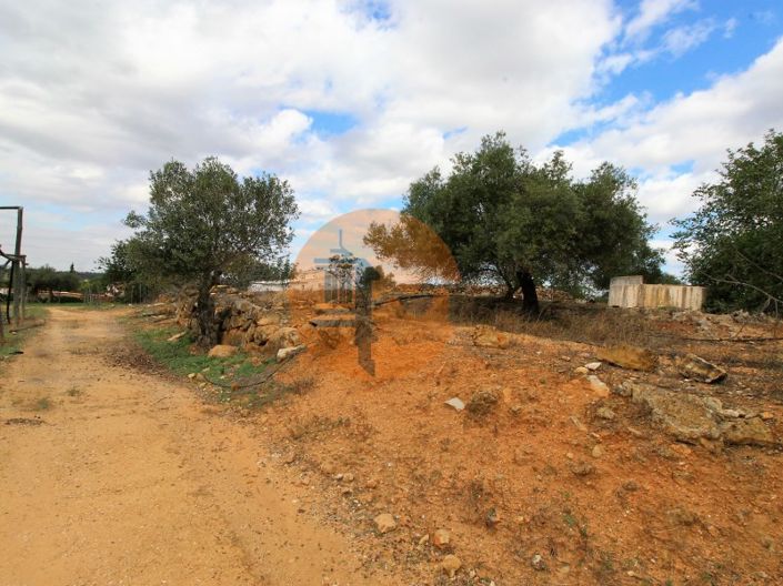 Image No.20-2 Bed House for sale