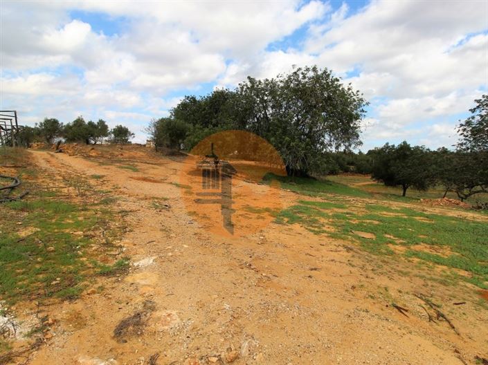 Image No.16-2 Bed House for sale