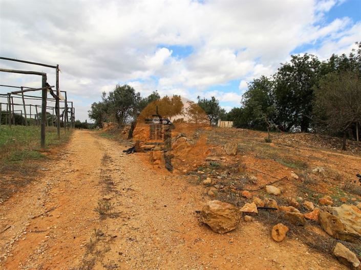 Image No.18-2 Bed House for sale