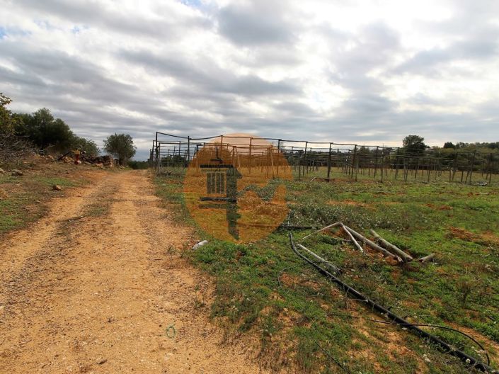 Image No.23-2 Bed House for sale