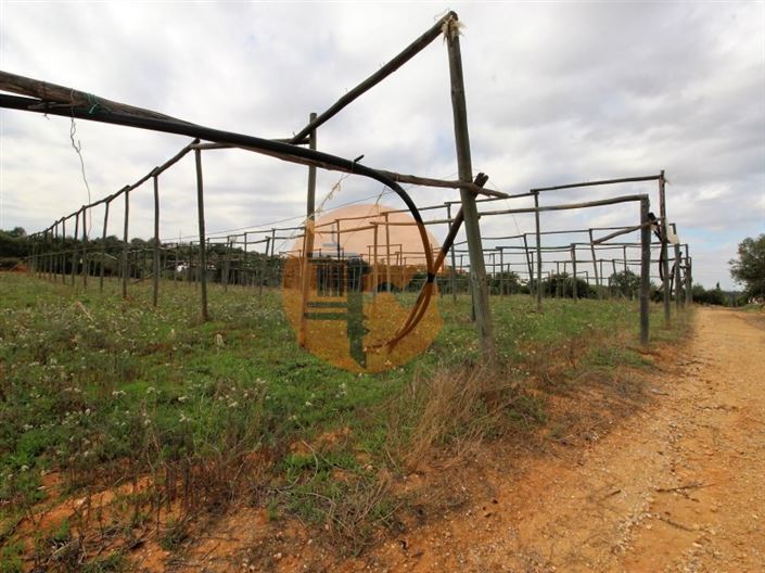 Image No.19-2 Bed House for sale