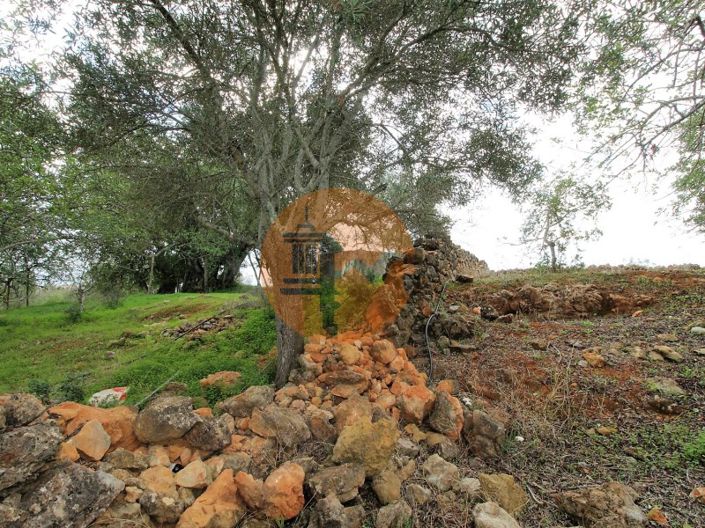 Image No.28-2 Bed House for sale