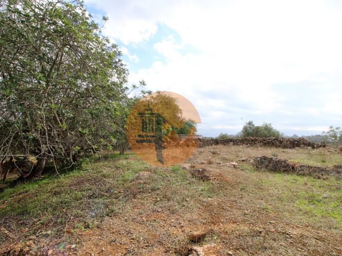 Image No.29-2 Bed House for sale