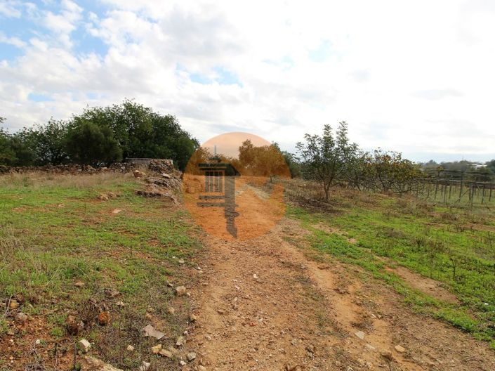 Image No.30-2 Bed House for sale