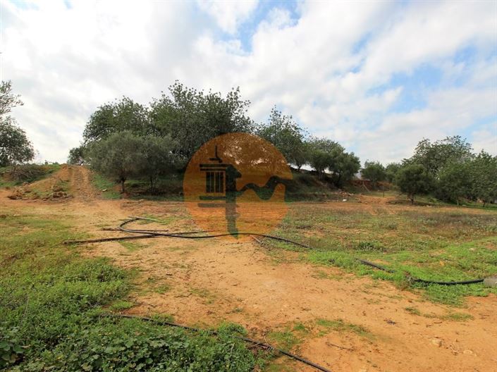 Image No.35-2 Bed House for sale