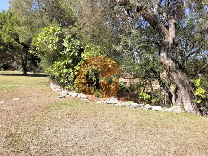 Image No.45-4 Bed Apartment for sale