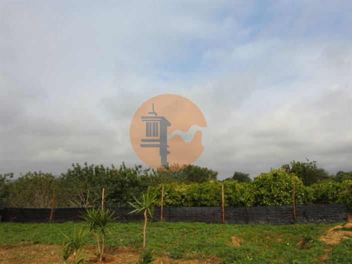 Image No.11-Plot for sale