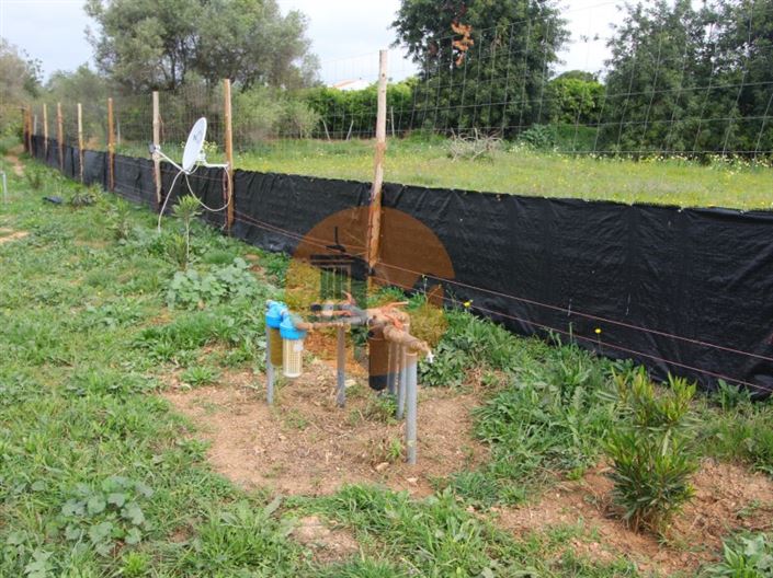 Image No.14-Plot for sale