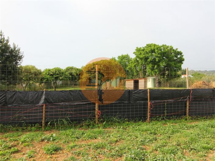 Image No.6-Plot for sale