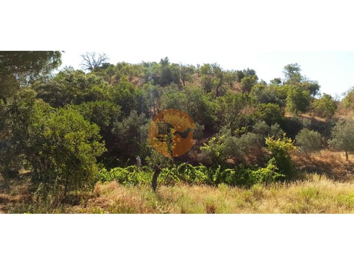 Image No.18-Plot for sale