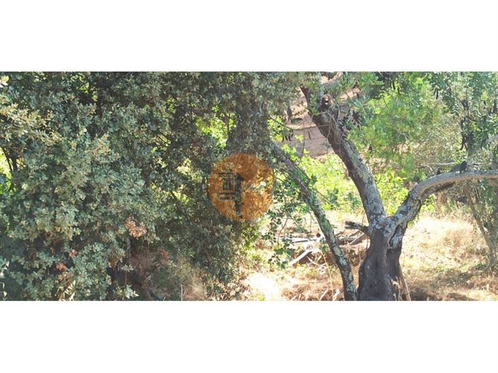 Image No.19-Plot for sale