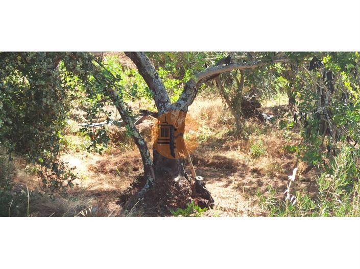 Image No.20-Plot for sale