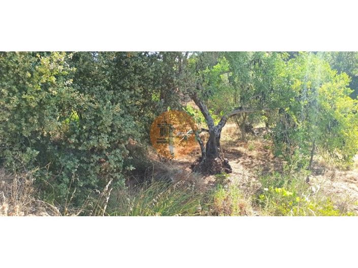 Image No.22-Plot for sale