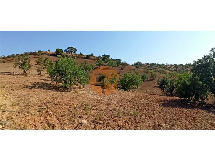 Image No.26-Plot for sale