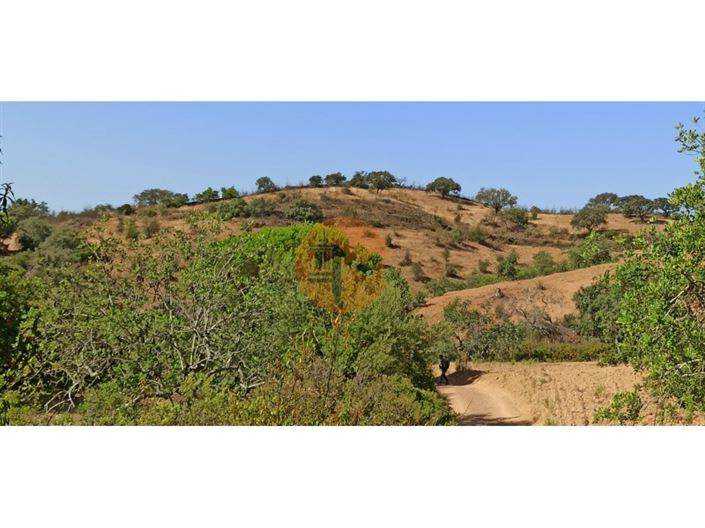 Image No.31-Plot for sale