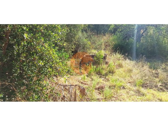 Image No.34-Plot for sale