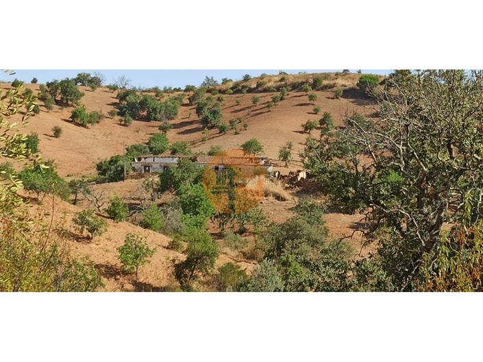 Image No.38-Plot for sale