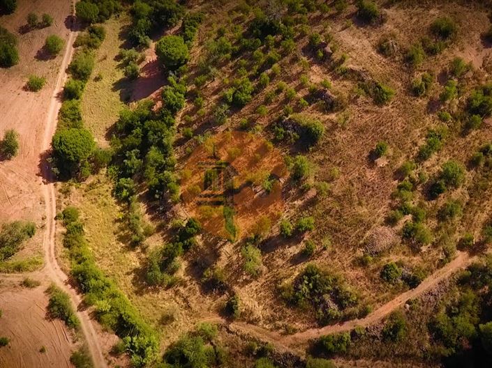 Image No.8-Plot for sale