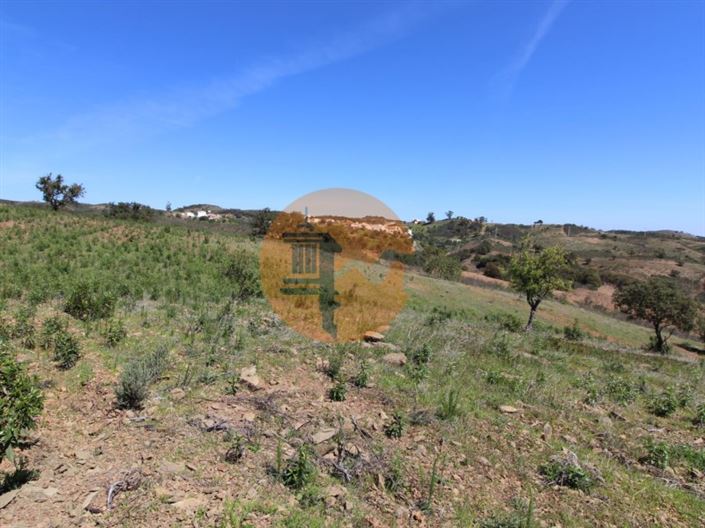 Image No.12-Plot for sale