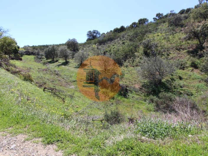 Image No.6-Plot for sale