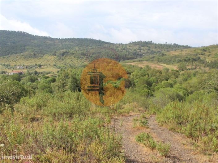 Image No.1-Farmhouse for sale