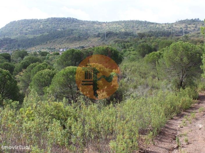 Image No.3-Farmhouse for sale