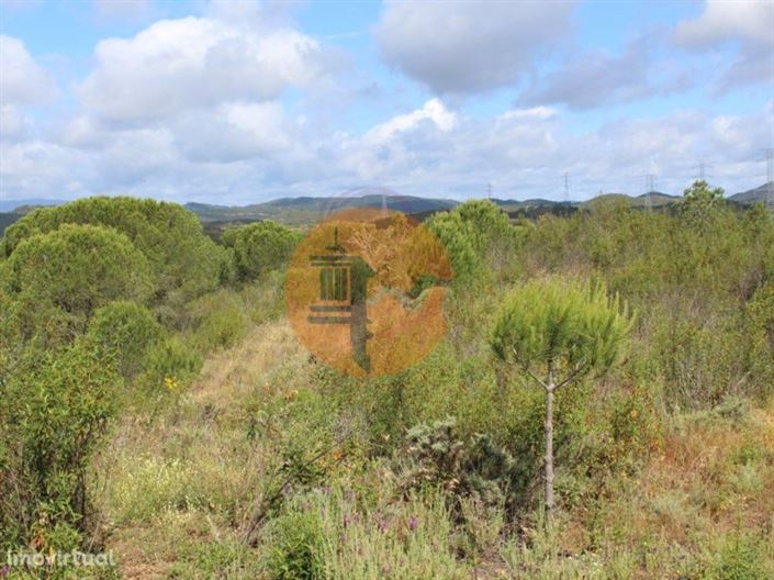 Image No.4-Farmhouse for sale