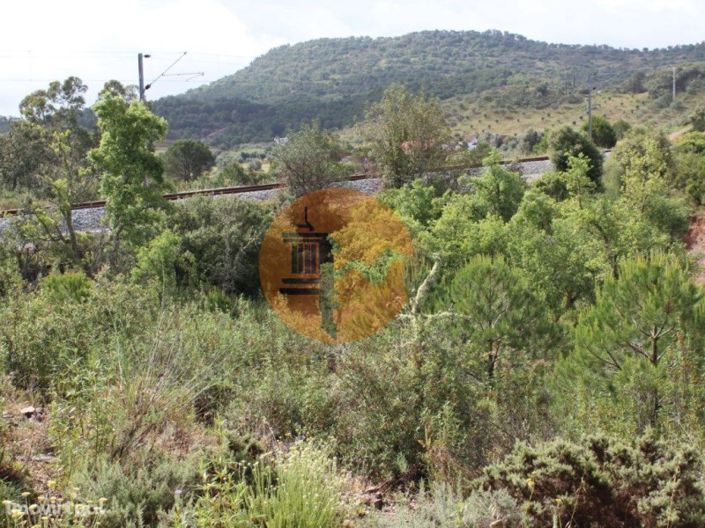 Image No.5-Farmhouse for sale