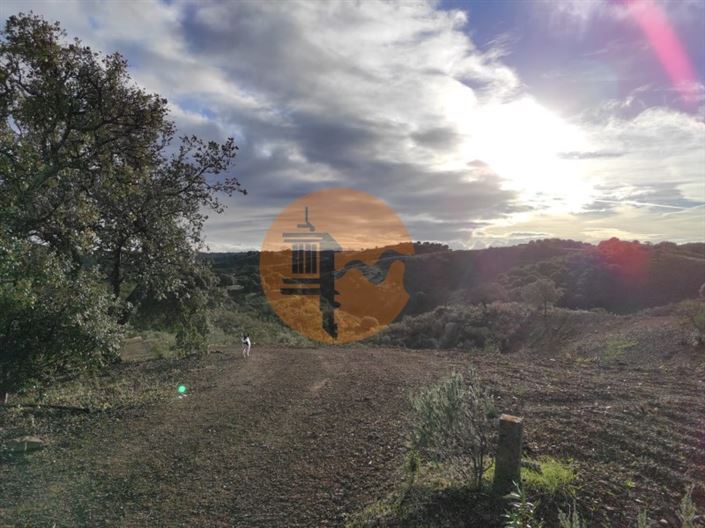 Image No.20-Plot for sale