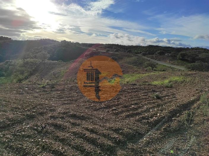 Image No.21-Plot for sale