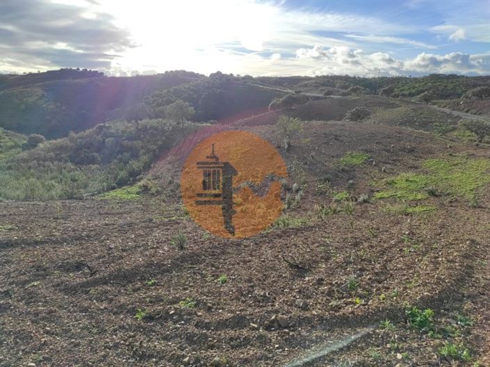 Image No.25-Plot for sale