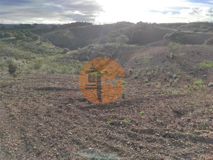 Image No.26-Plot for sale