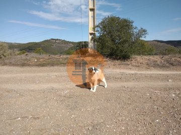 id89cc5401-0000-0500-0000-000010ba91ed