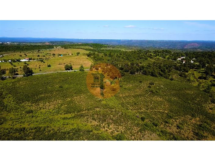 Image No.10-Plot for sale