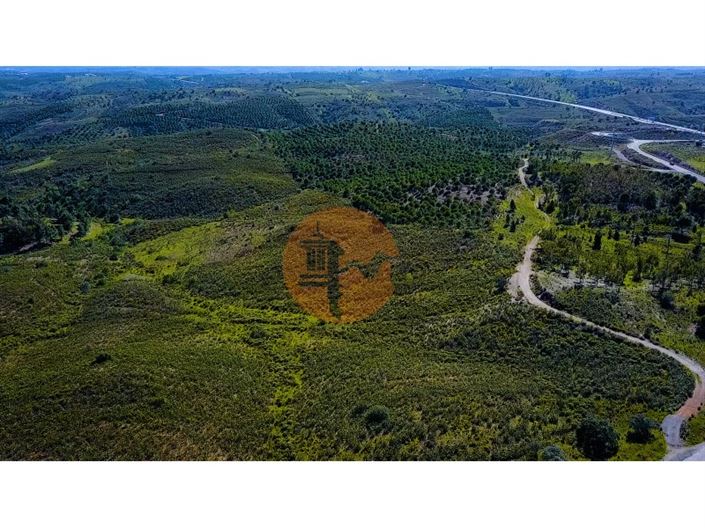 Image No.12-Plot for sale