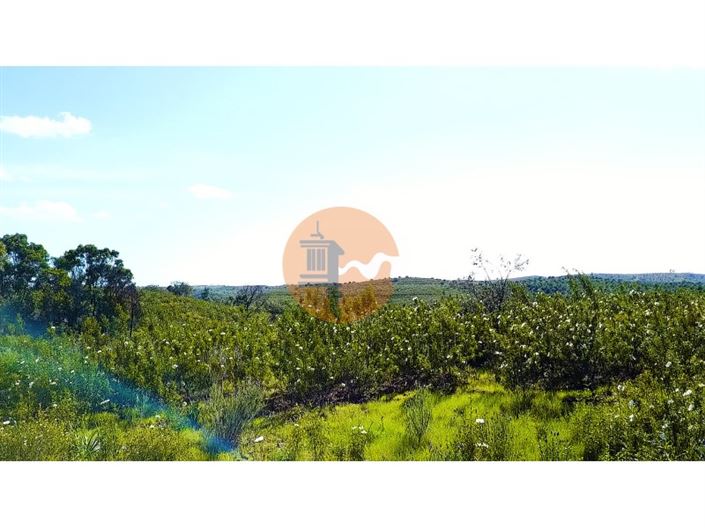 Image No.7-Plot for sale